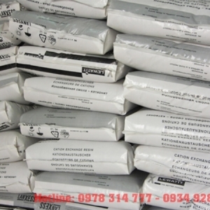 HẠT NHƯẠ - BAYER